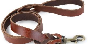 Leather Dog Leashes