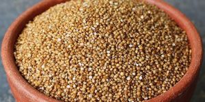 Organic Barnyard Millet