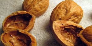 Walnut Shells