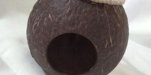 Coconut Shell Bird House
