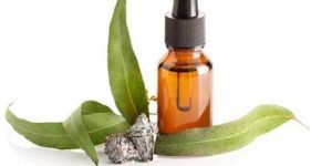 Eucalyptus Oil Emulsifier