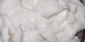 Frozen Tender Coconut Titbits