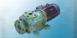 Sealless Magnetic Driven Pumps