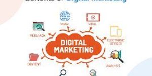 Digital Marketing Consultant