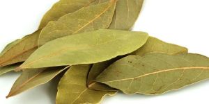 Dried Bay Leaves