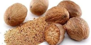 Indian Nutmeg