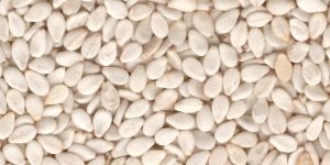 White Sesame Seeds for Oil Extraction