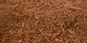 Coir Pith Powder