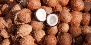 Dried Matured Coconut