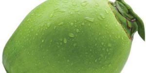 Green Tender Coconut