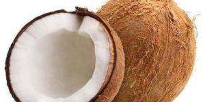 Medium Raw Coconut