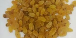 Dried Golden Raisins