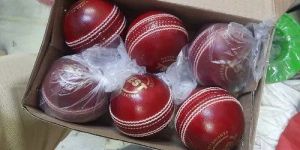 150 to 156gm Test Quality Leather Ball