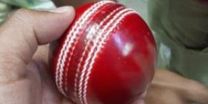 173gm Red Leather Cricket Ball