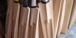 KASHMIRI WILLOW CRICKET BATS
