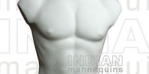 Male Bust Mannequins