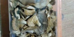 Dry Sajar Kaju Mashroom