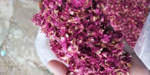 Dry Rose Petals