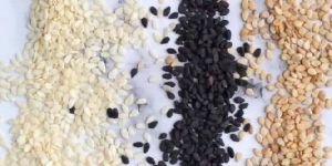 Natural Premium Sesame Seeds