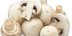 Fresh Mushroom