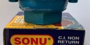 Cast Iron Check Valve