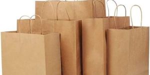 Paper Hotel Parcel Bag