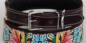 Leather Multicolor Caring Dog Collar