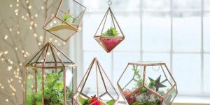 Rose Gold Glass Terrariums