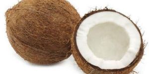 Fresh Coconut