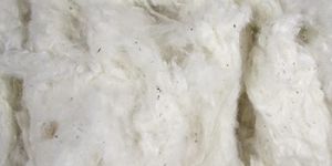 Raw Cotton