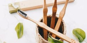 Bamboo Adult Toothbrush