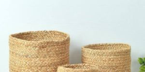 Jute Planters