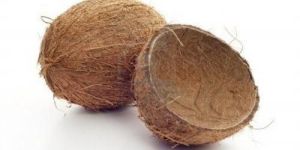Coconut Shell Halves