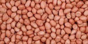 Groundnuts