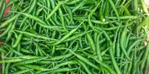 Original Organic Chile