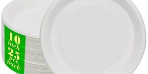 Sugarcane Bagasse Plates