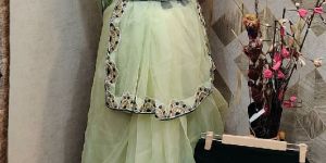 Organza Saree