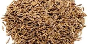 Caraway Seeds