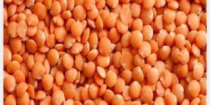 Red Lentils