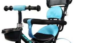 Luusa GT-500 Tricycle