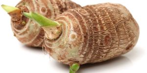 Taro Root