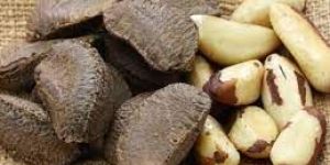 Brazil Nut