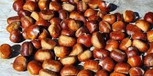 Chestnuts
