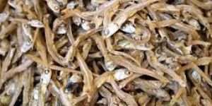 Dried Fish