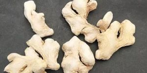 Dry Ginger