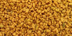 Fenugreek Seed
