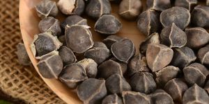 Moringa Seeds