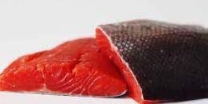 Salmon