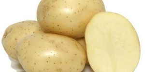 Badshah Potato