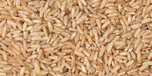 Brown Rice